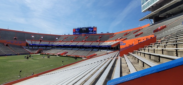 场馆发展也 场馆发展也