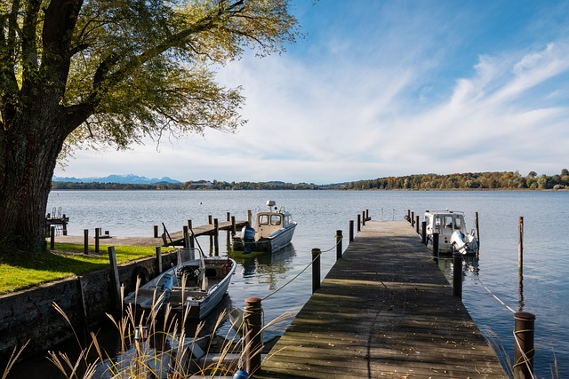建立了康复 建立了康复